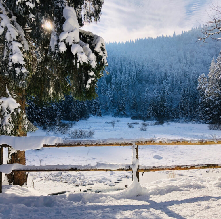 Le Lac Blanc en Hiver