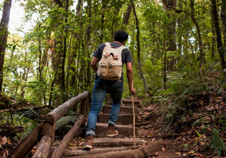 Les sentiers du Lac Blanc